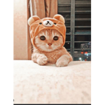 Aesthetic_Lou
