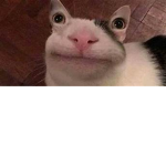 DxrkZero