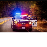 SHERIFF’S GROUP