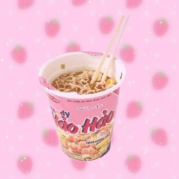 ⸝⸝๑ ｡ʚ♡ɞ｡๑⸝⸝