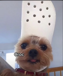 Crock head group