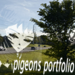 pigeons portfolio
