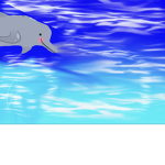 Dolphin Games