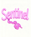 小 Sentinel
