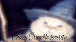 Cheezy Crumble security