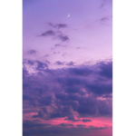 || purple sunsets ||
