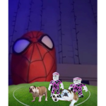 Spider Newbies FC