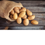 Potato Group~
