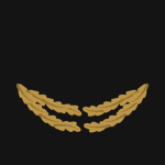 SAINT | 1st Infantry Battalion Regiment