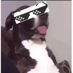 Roblox Dragons yes