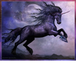 The XUnicornX Squad