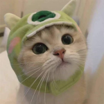 루미의 게임세상