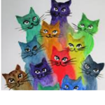 Kitty kind