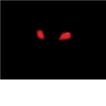 roblox evil spirits