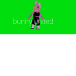 Bunny united for real