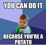 Potato squad yo