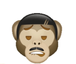 The Animal fans like starch the blue koala bear
