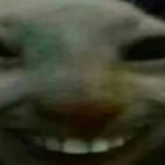 Loja XDD