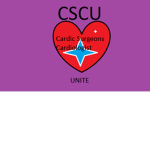 Cardiac Surgeons/Cardiologist of ROBLOX United