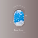 Korea Skyway