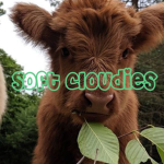 soft cloudies