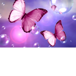 LilyTheUnicorn165