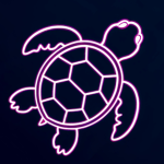 Glowing Turtle