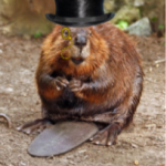 The International Federation of Beavers