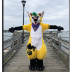 The furry defenders team