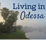 Odessa Roleplay Community