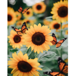 Sunflowers sparkle
