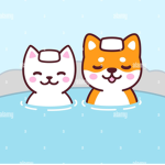 {gatitos y perritos}