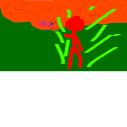the quiz