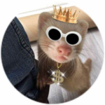 FERRETS United!!!!!
