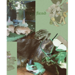 Tropical Frogs! Group Thumbnail