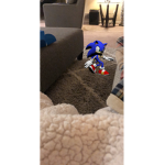 The Sonic Hedgehog Club