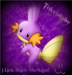 The Mudkipz