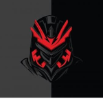 Official NinjaGamer fan club