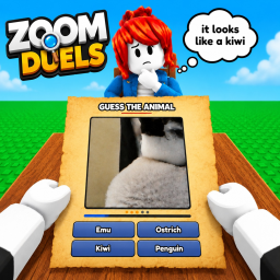 Zoom Duels 🔎