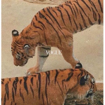 Glossyxgoats