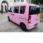 Pacifico pink Van Squad