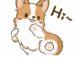 We all love corgis