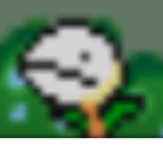 eknoh give munnies