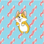 Bacon Corgi!