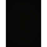 影の分隊