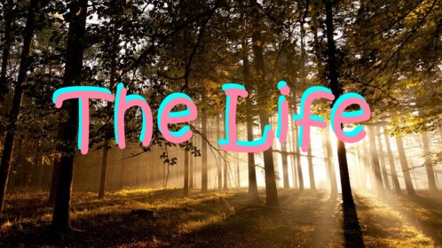  The Life [BETA]
