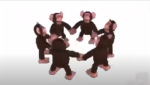 ALL HAIL THE MONKE