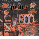 ~ Ari.Angies Boutique ~