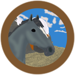 Wild Grey Appaloosa