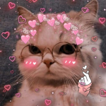 Cat. Lovers